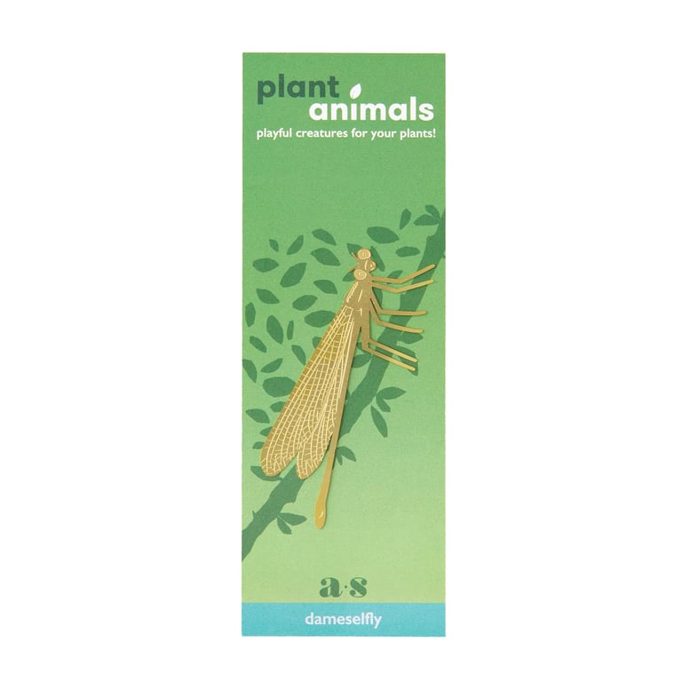 DÉCO ANIMAL POUR PLANTE - DEMOISELLE, ANOTHER STUDIO