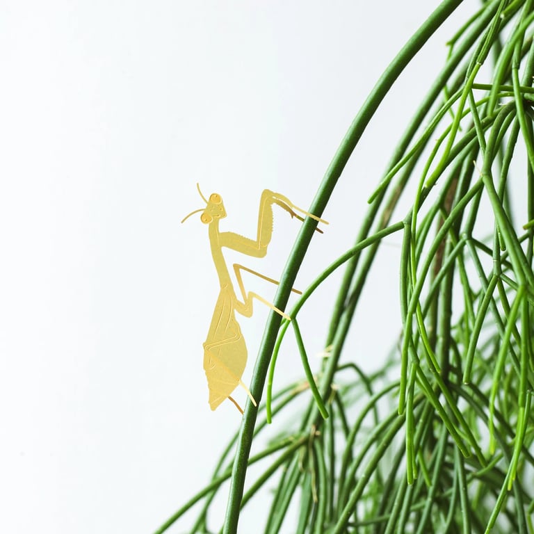 DÉCO ANIMAL POUR PLANTE - MANTE RELIGIEUSE, ANOTHER STUDIO Image 3
