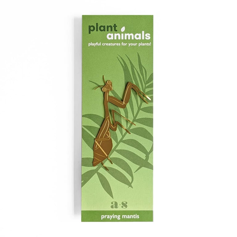 DÉCO ANIMAL POUR PLANTE - MANTE RELIGIEUSE, ANOTHER STUDIO