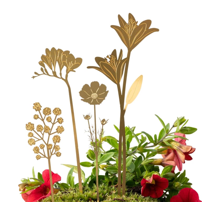 DÉCO BLOOM BOUQUET POUR PLANTE, ANOTHER STUDIO Image 3