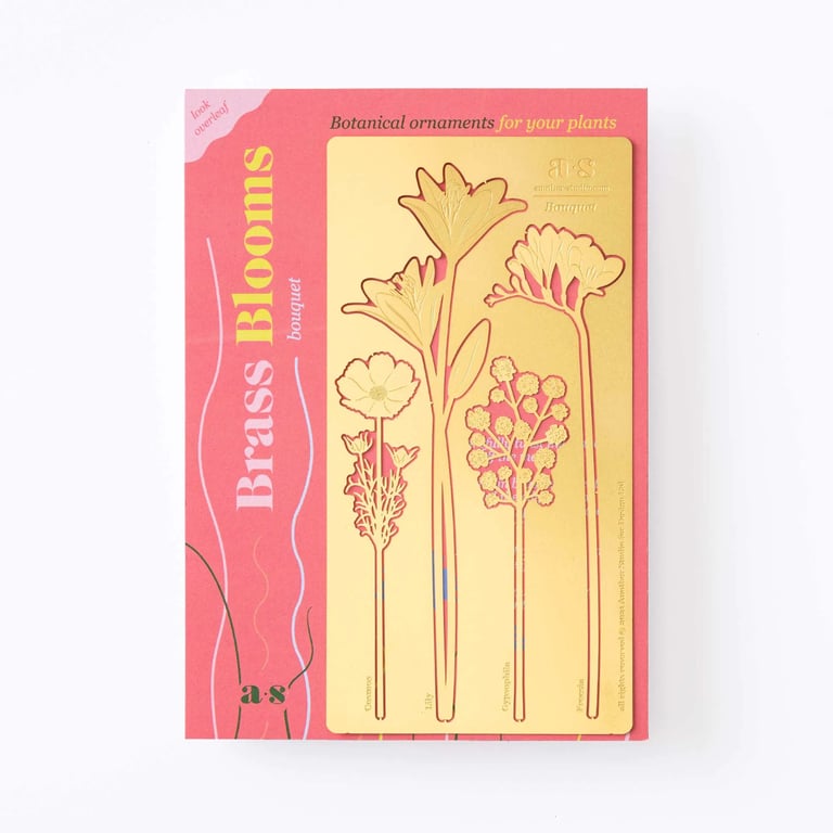 DÉCO BLOOM BOUQUET POUR PLANTE, ANOTHER STUDIO Image 4
