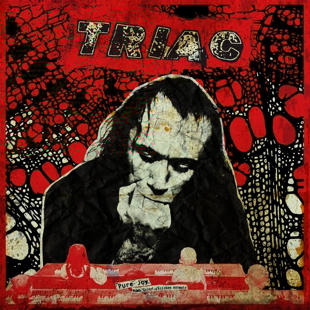 Image of TRIAC - PURE JOY 12"