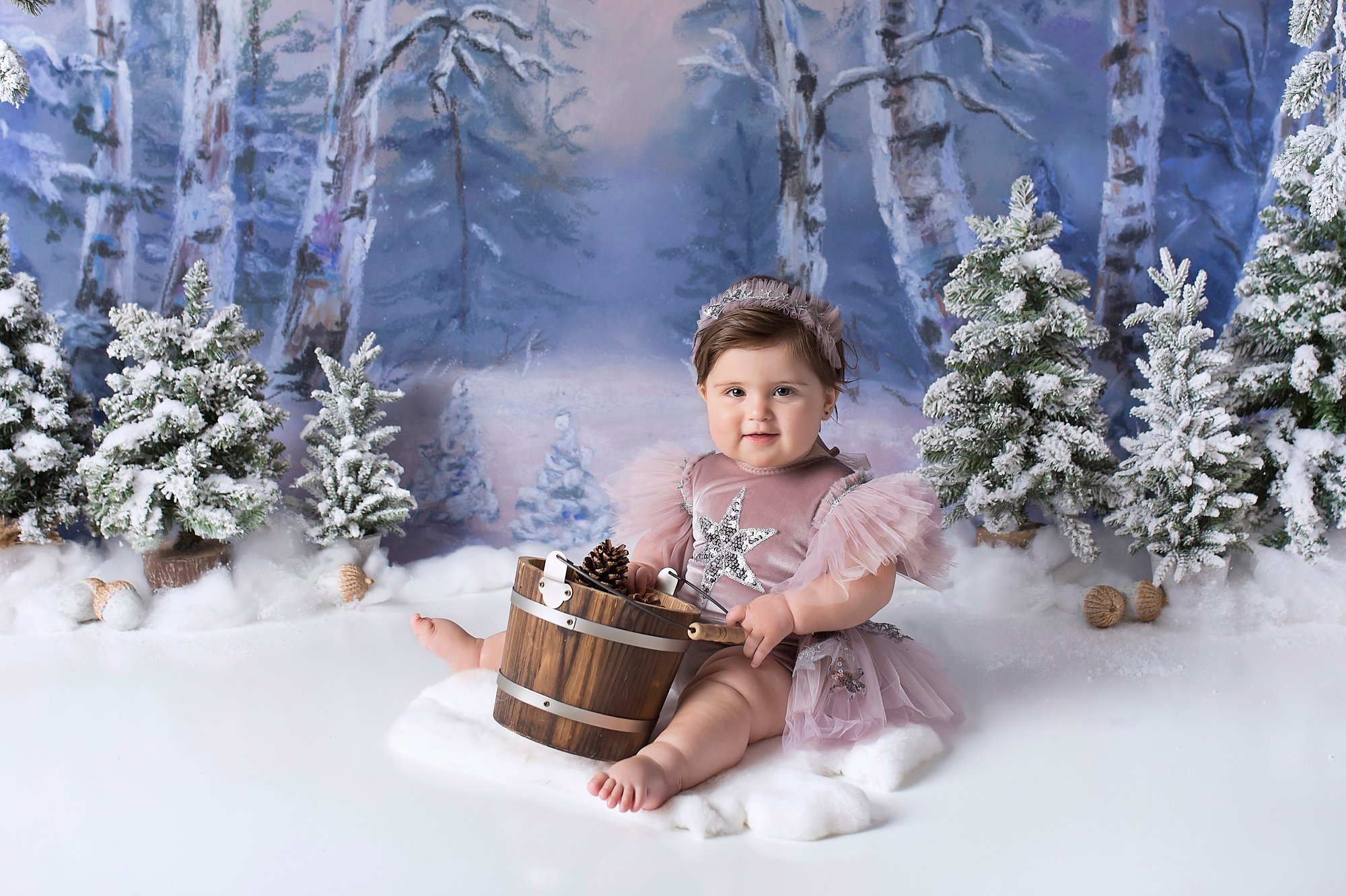 Winter Wonderland | Julia Rozental Photography Winter Wonderland | Julia Rozental Photography