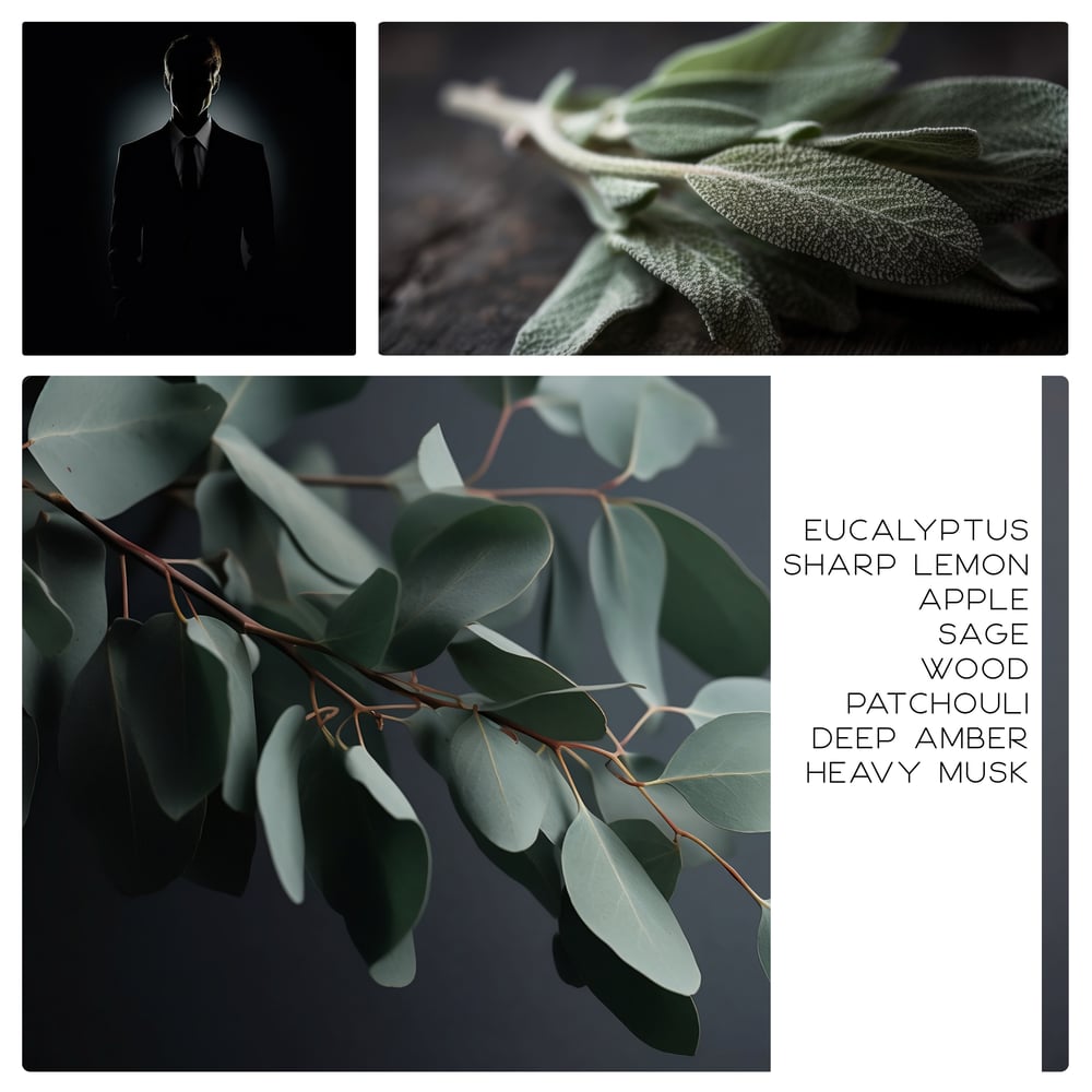 Image of Enigma Noir Men’s Cologne