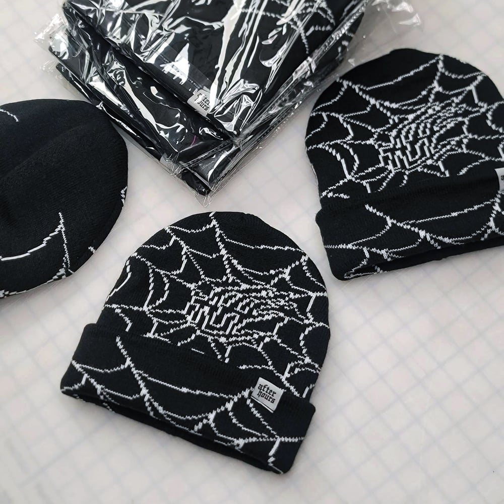 Cobweb beanie