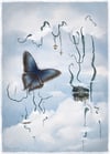 'Blue Butterfly' Art Print (Limited Edition)