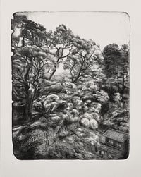 Image 1 of Mont Shosha II