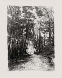Image 1 of Mont Shosha