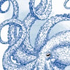 Print: Octopus Blue