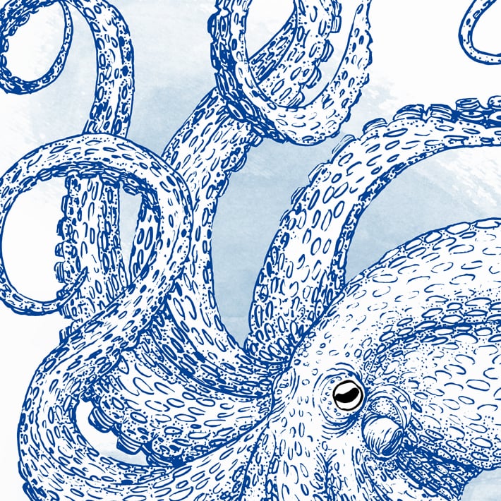 Print: Octopus Blue