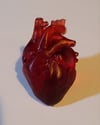 Anatomically correct heart keychains 