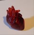 Anatomically correct heart keychains  Image 2