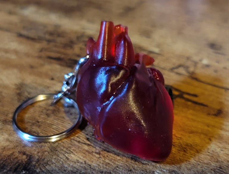 Anatomically correct heart keychains  Image 3