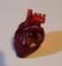 Anatomically correct heart keychains  Image 5