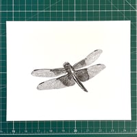 Image 1 of Widow Skimmer Dragonfly Print