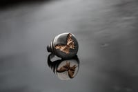 Image 2 of Rose Gold Butterfly Signet 