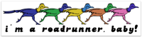 Roadrunner Bumper Sticker