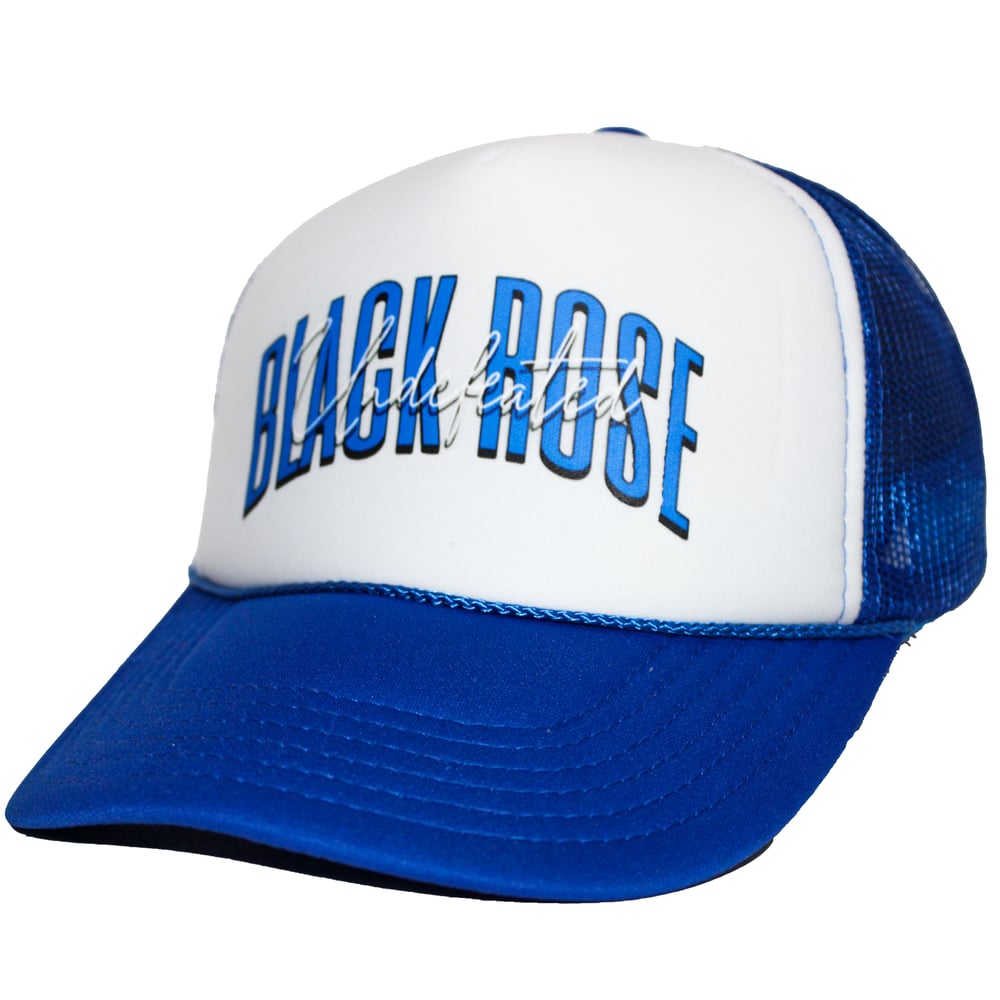 Image of Logo trucker hat ( blue and white)
