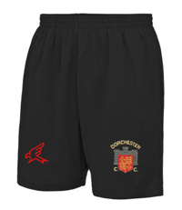 Training Shorts