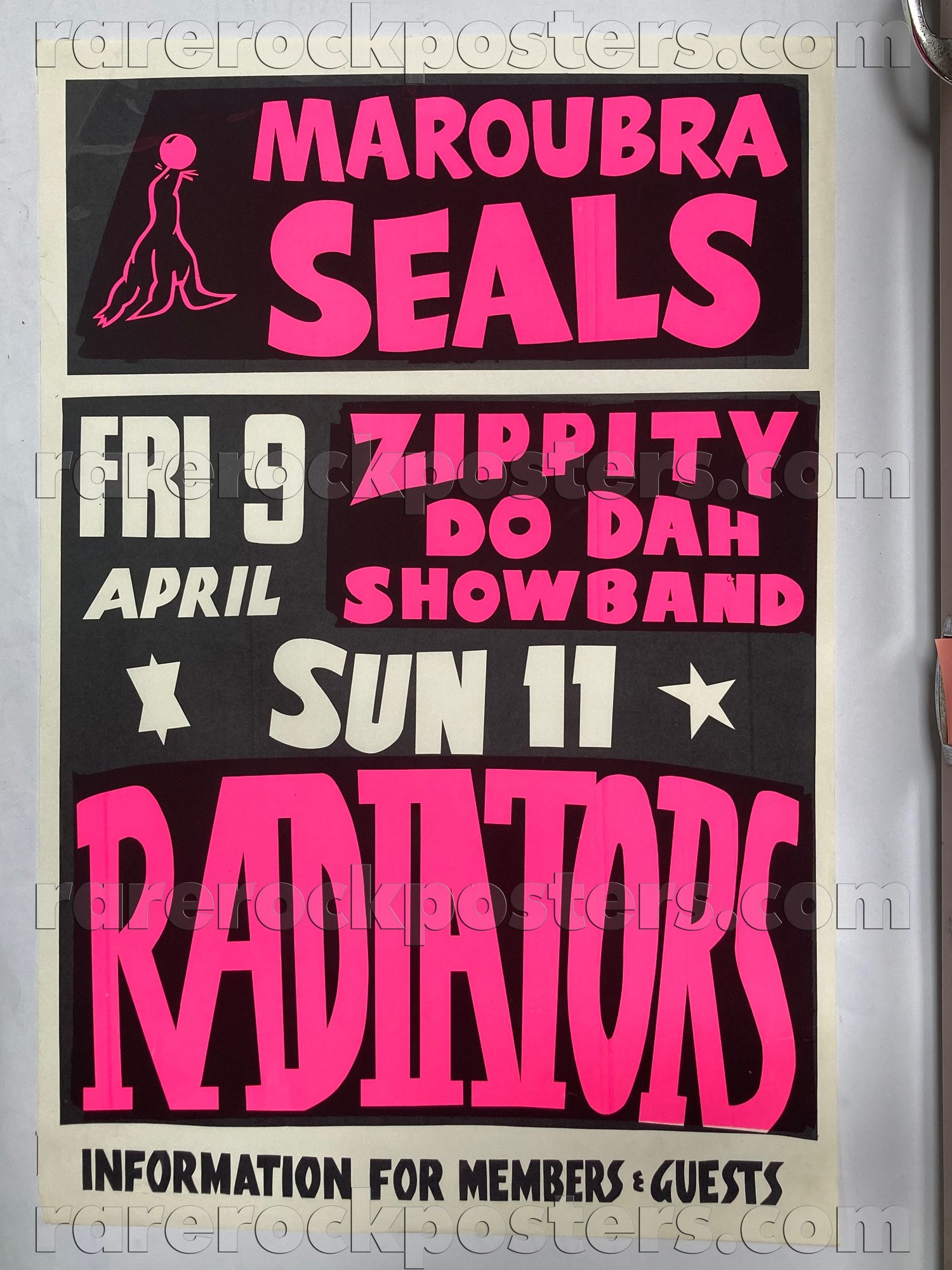 THE RADIATORS / ZIPPITY DO DAH SHOW BAND ~ ORIGINAL 1982 AUSTRALIAN GIG POSTER ~ MAROUBRA SEALS