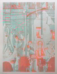 Image 2 of ROCK DOVES - RISOGRAPH PRINT