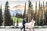 Image 2 of 2025 Mt. Rainier Wildflower Roadside Adventure $1800 ($500 retainer)