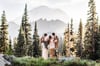 2023 Mt. Rainier Wildflower Roadside Adventure $1495 ($495 retainer)