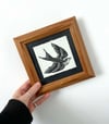 Framed Lino Print - Swallow