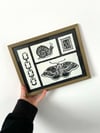 Framed Lino Print Collection - Moth, Snail, Chain & Stamp