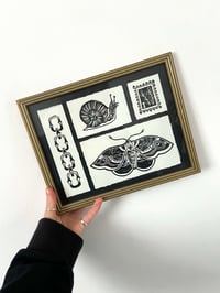 Image 1 of Framed Lino Print Collection - Moth, Snail, Chain & Stamp