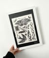 Framed Lino Print Collage - Collection 2