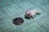 Tiny Axolotl