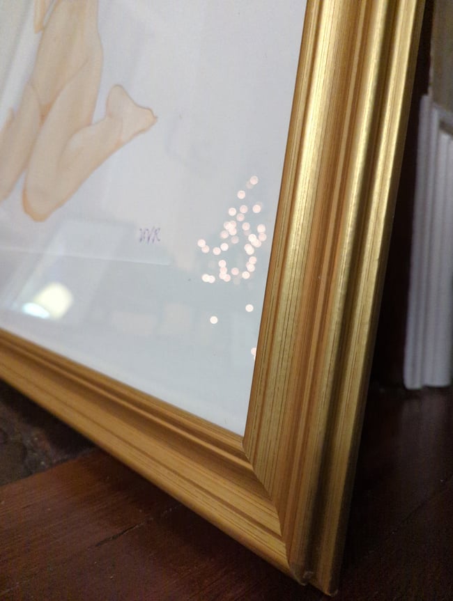 Santiago shibari original watercolor (framed)