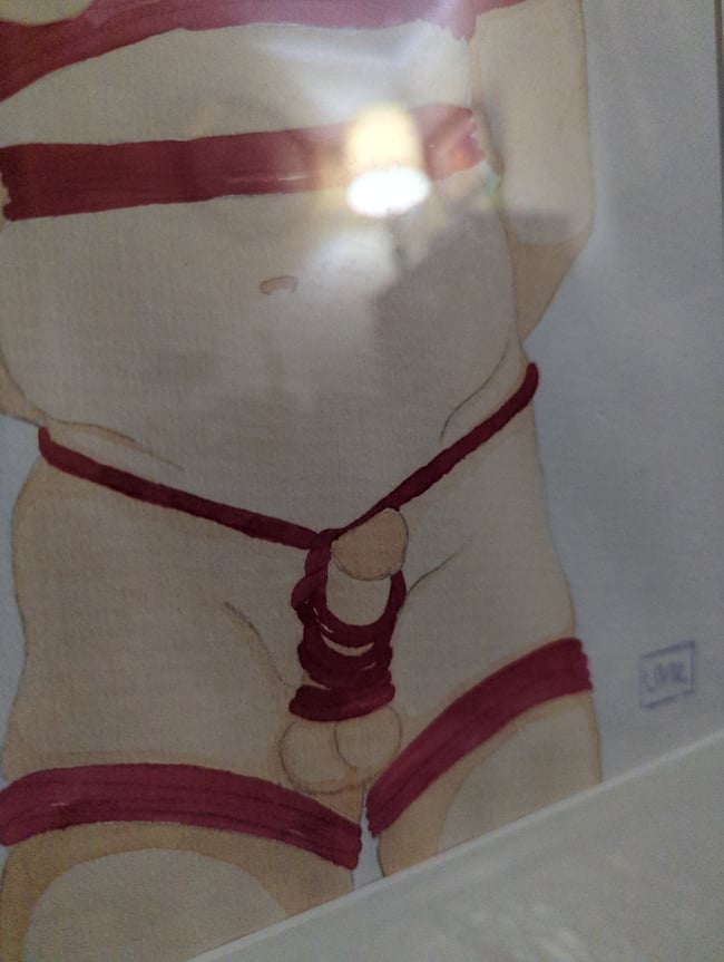 Lucas shibari original watercolor (framed)