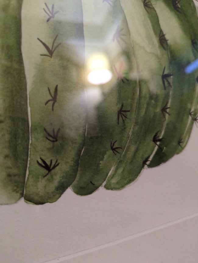 Plump cactus original watercolor (framed)