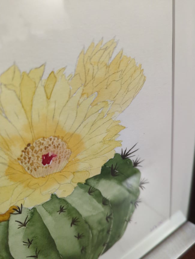 Plump cactus original watercolor (framed)