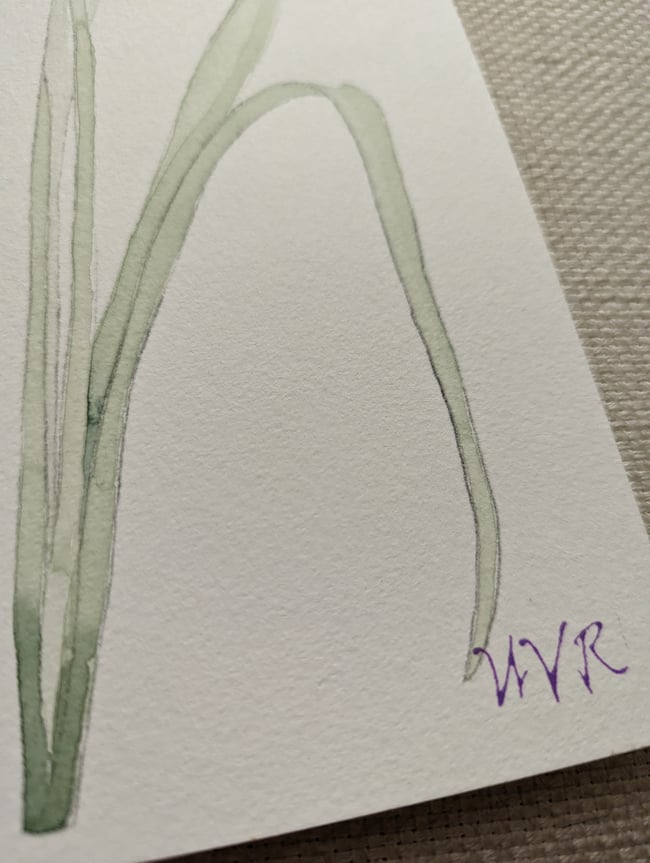 Grape hyacinths original watercolor 