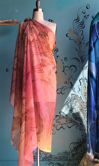 Image 3 of Information: Chiffon Capes