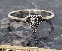 Image 1 of Elephant Ring
