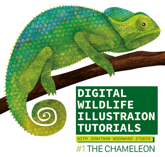 Image of Digital Wildlife Illustration Course: #1: The Chameleon