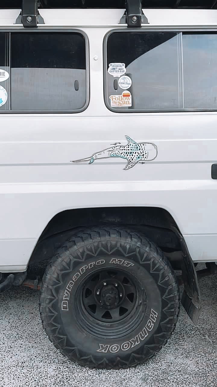 Image of Whale Shark Decal - by Sophie Fletcher Designs