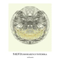 Salvia Rosmarinus Totemika
