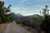 Limited Edition: "Mission Trails 2, San Diego, CA."