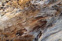 Limited Edition (25 prints): "Driftwood Bench, La Jolla Cove, CA"