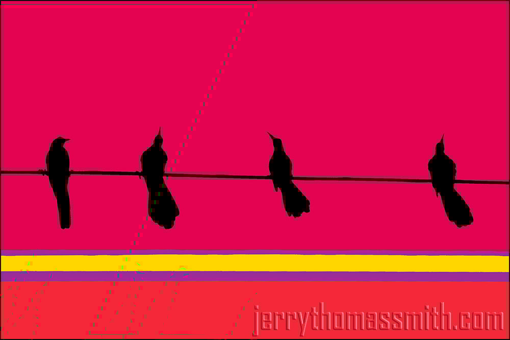 Limited Edition (25 prints): "Birds On A Wire"