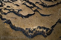 Limited Edition: "La Jolla, CA 1"