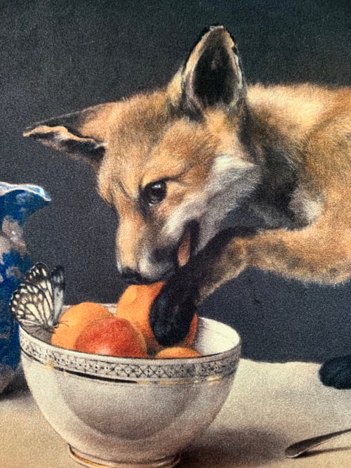 Image of Velvet New Fox Cub Cushion