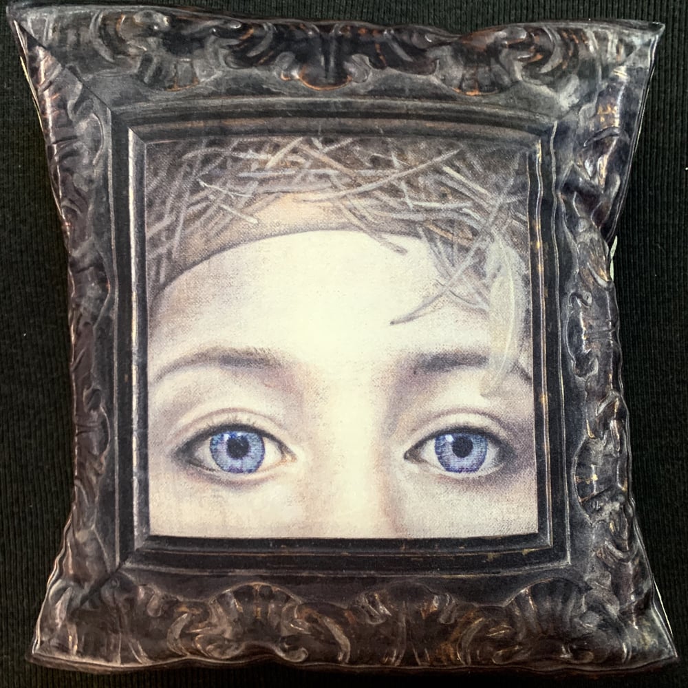 Image of Velvet Blue Eyes Cushion