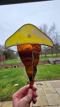 Image 1 of Mushroom bum 3