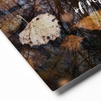 Image 4 of Transformation Glossy Metal Print